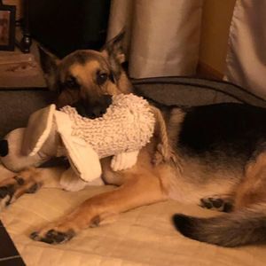 Meet your Posher, Sandra